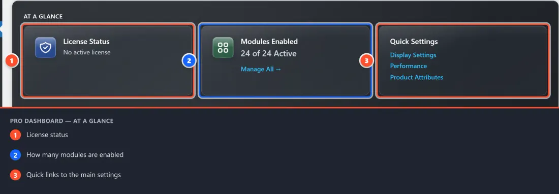 The Pro Dashboard tab showing the License Status, Modules Enabled, and Quick Settings cards