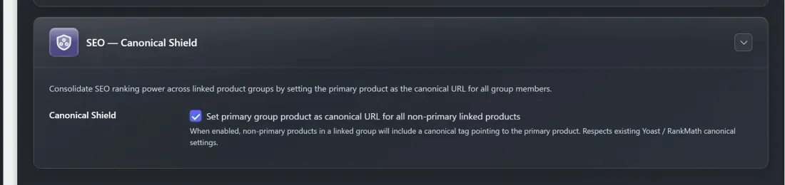 The SEO — Canonical Shield card on the Display Settings tab
