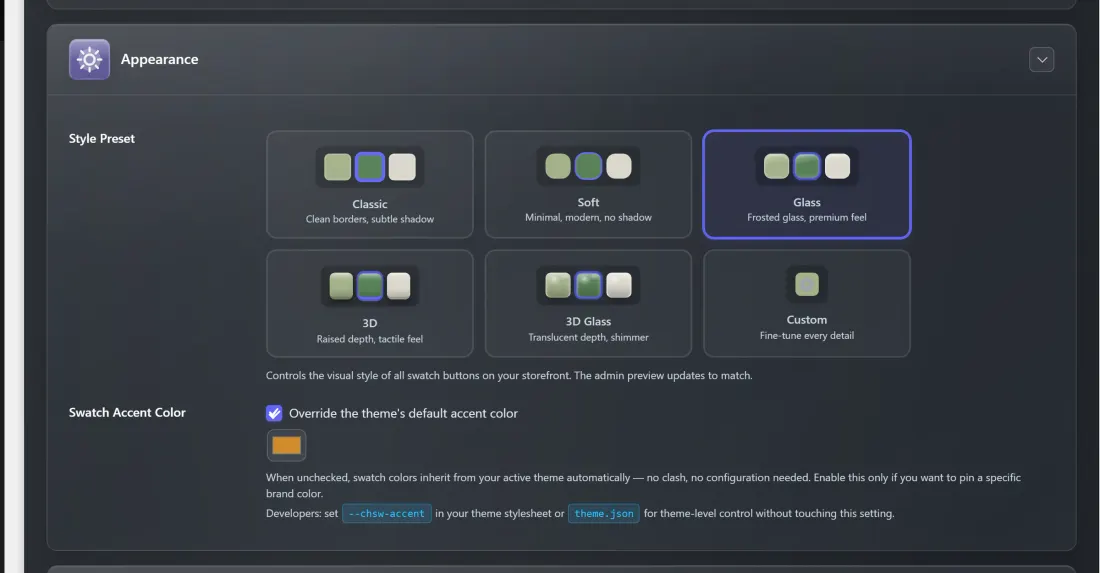 The Appearance card on the Display Settings tab, showing the Style Preset options with live swatch previews