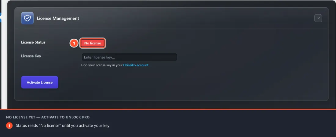 Freshly installed: the License tab shows “No license” until you activate your key