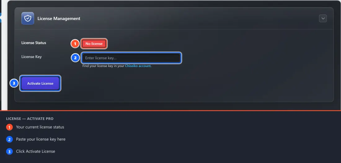 The License tab, where you paste your key and check the license status